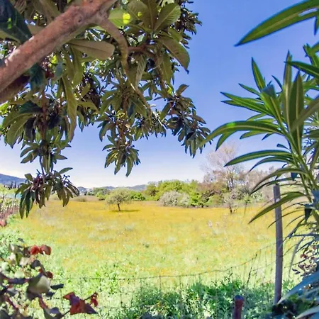 Apartament Corfu Dream Holidays