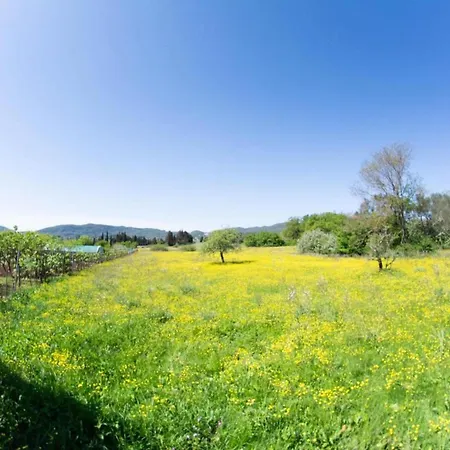 Corfu Dream Holidays * Kouramaditika