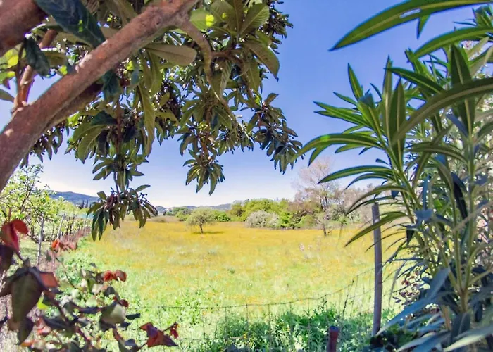 Lejlighed Corfu Dream Holidays