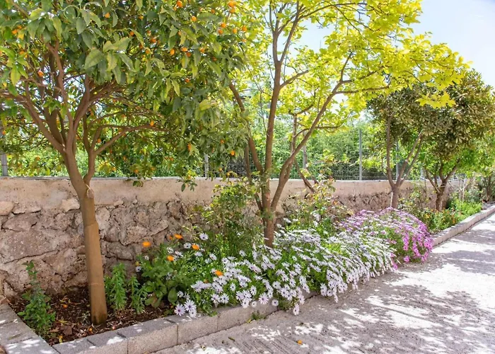 Corfu Dream Holidays * Kouramaditika